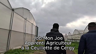 TV Locale Ile de France - Job Mon Joe en apprenti Maraîcher Partie 2