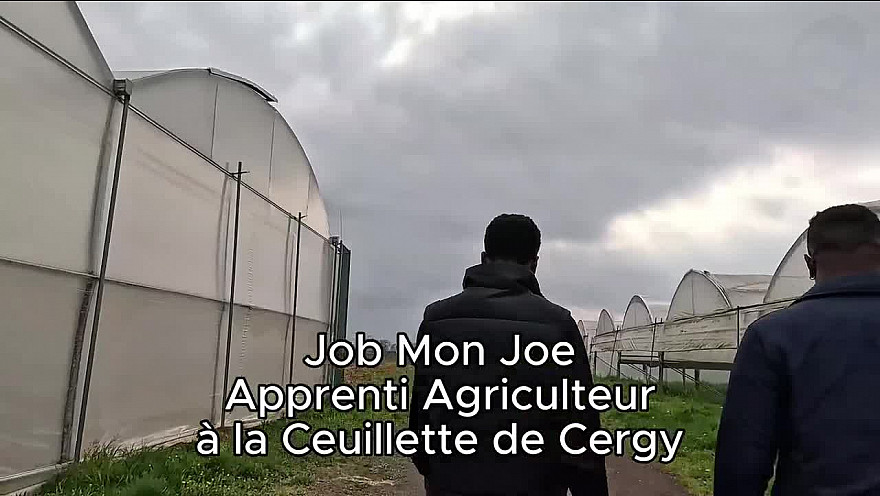 TV Locale Ile de France - Job Mon Joe en apprenti Maraîcher Partie 2